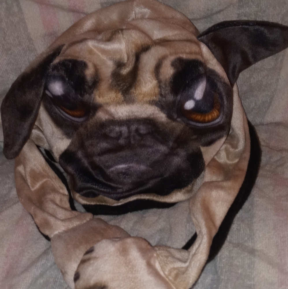 Pug cap with neck warmer